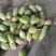 青萝卜，市场品种多样化可随时拼车量大，我们为经济作物集聚