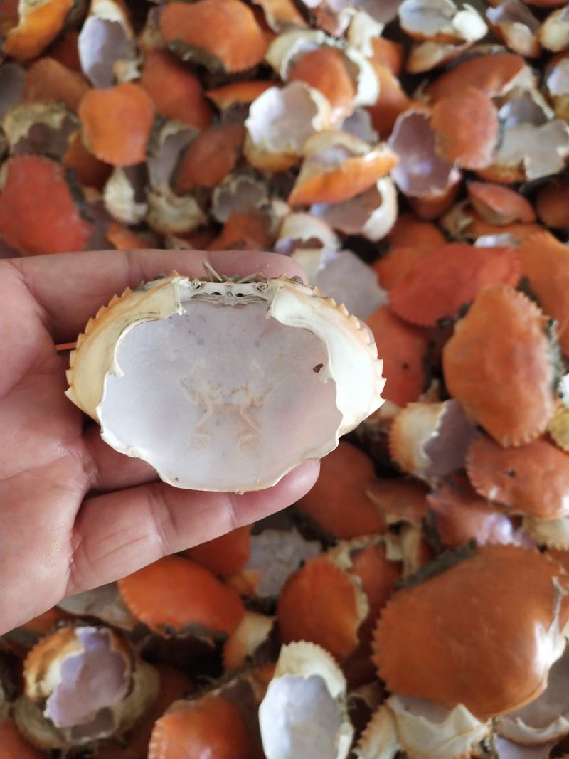 专业批发，越南青蟹壳，缅甸蟹壳，沙蟹壳