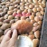 专业批发，越南青蟹壳，缅甸蟹壳，沙蟹壳
