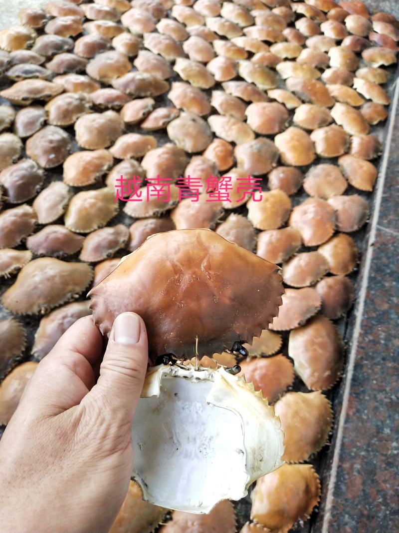 专业批发，越南青蟹壳，缅甸蟹壳，沙蟹壳