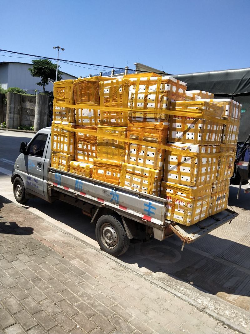 专业批发，越南青蟹壳，缅甸蟹壳，沙蟹壳
