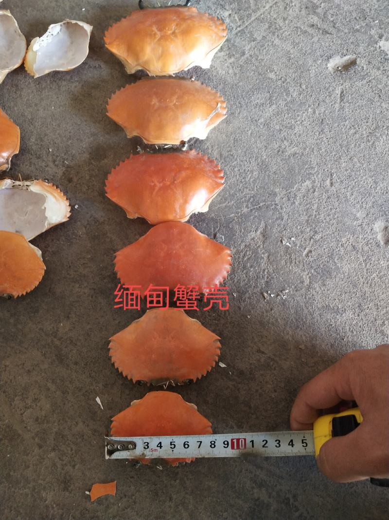 专业批发，越南青蟹壳，缅甸蟹壳，沙蟹壳