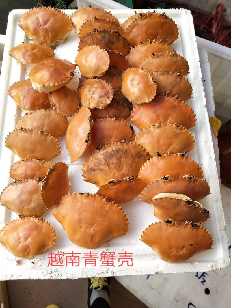 专业批发，越南青蟹壳，缅甸蟹壳，沙蟹壳