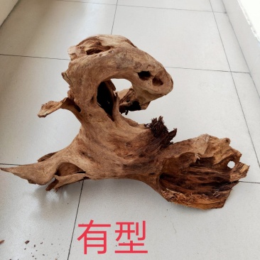 沉香一一千年土沉香(植物化石)