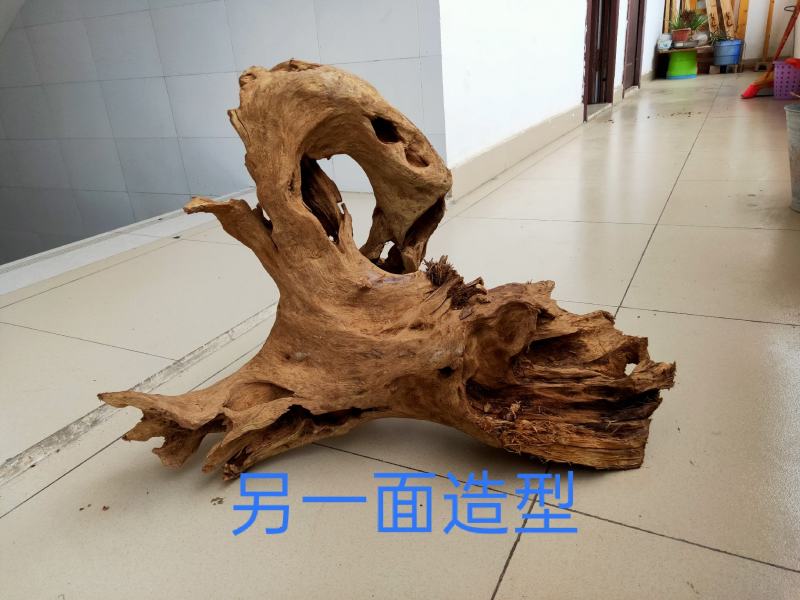 沉香一一千年土沉香(植物化石)