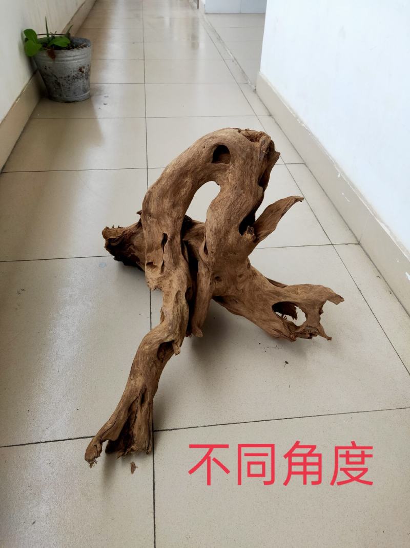 沉香一一千年土沉香(植物化石)