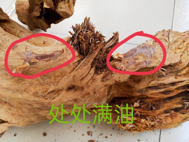 沉香一一千年土沉香(植物化石)