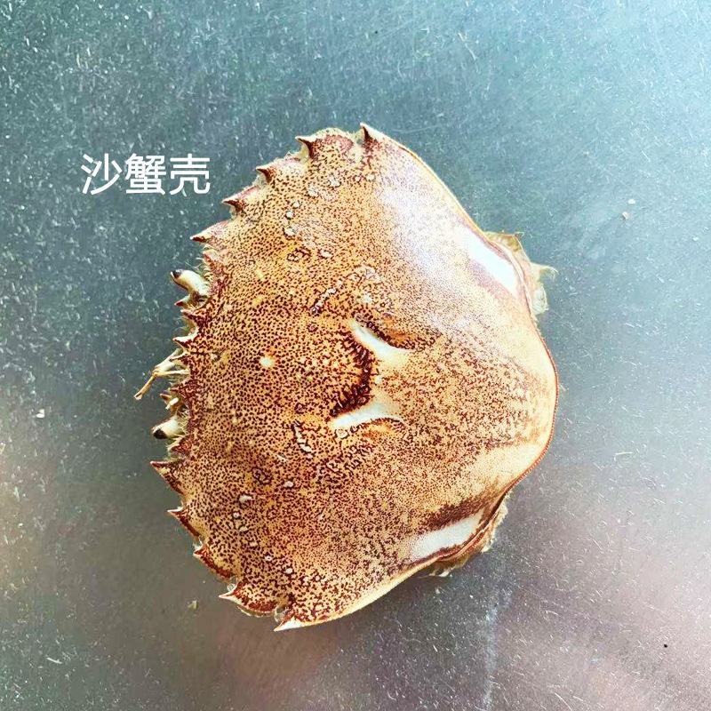 专业批发，越南青蟹壳，缅甸蟹壳，沙蟹壳