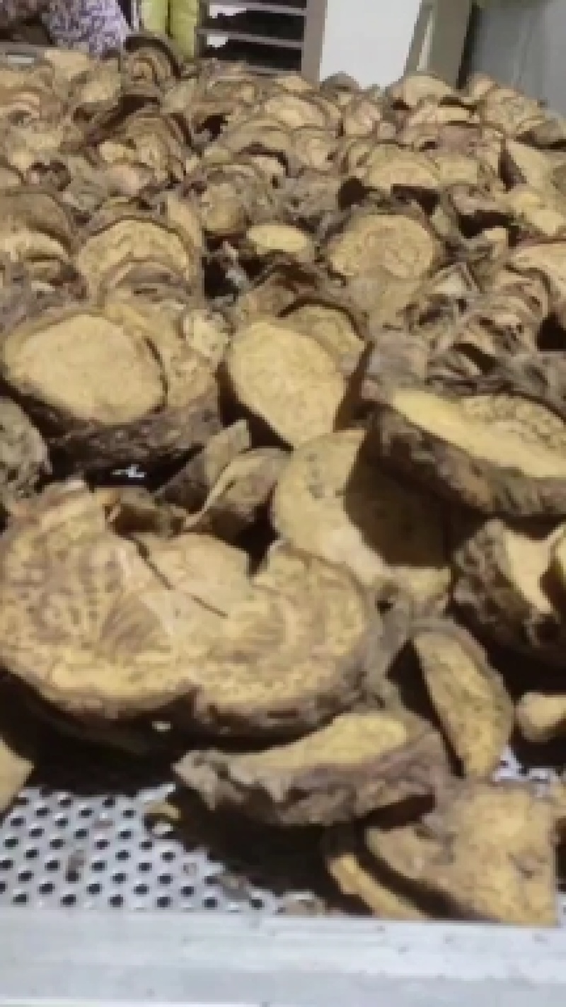 恩施药用马蹄大黄自己基地种的自己烘房烤的保质保量