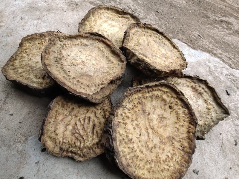 恩施药用马蹄大黄自己基地种的自己烘房烤的保质保量