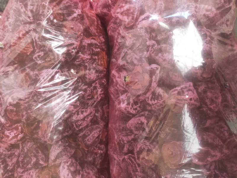 山西特产柿饼
