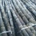 黑皮甘蔗色泽好脆甜多汁