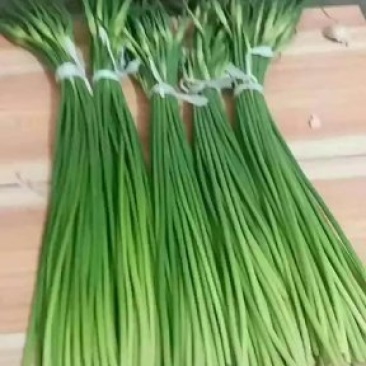 冷库蒜苔，白帽，红帽大量供应，精品货，支持全国代发，