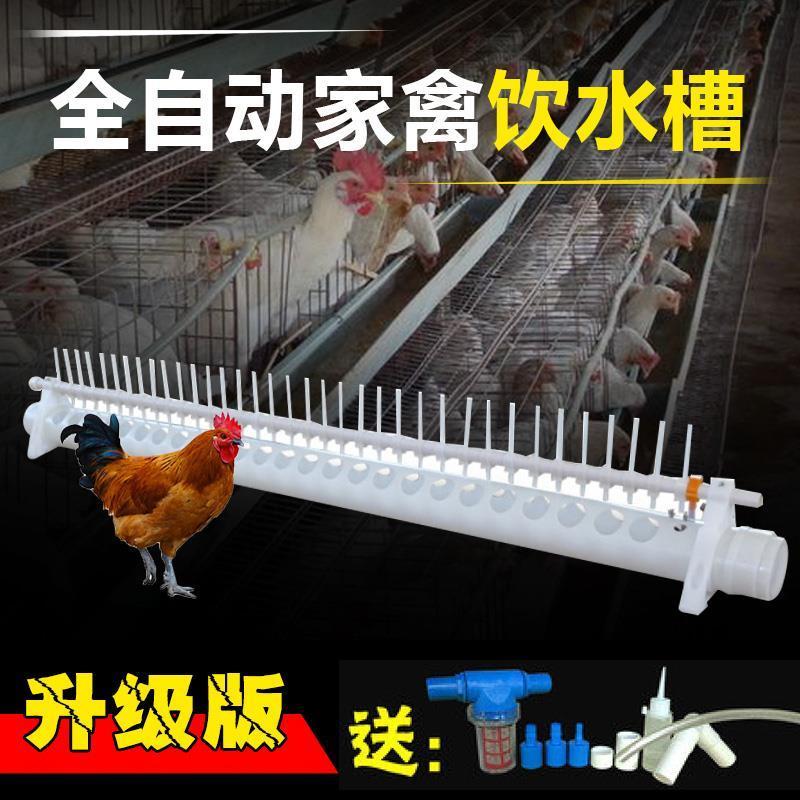 新型鸡饮水器自动喂水新款鸡鸭鹅养鸡自动饮水槽鸡用家禽包邮