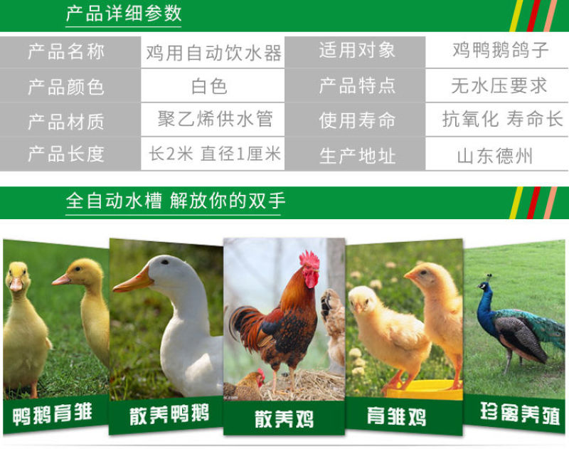 新型鸡饮水器自动喂水新款鸡鸭鹅养鸡自动饮水槽鸡用家禽包邮