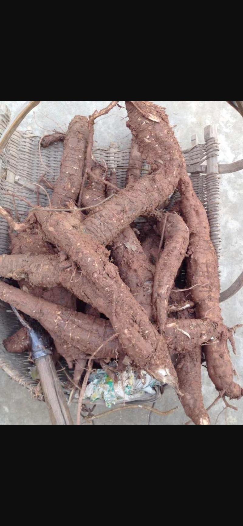 葛根野生葛根纯野生葛根粉无任何添加手工洗粉