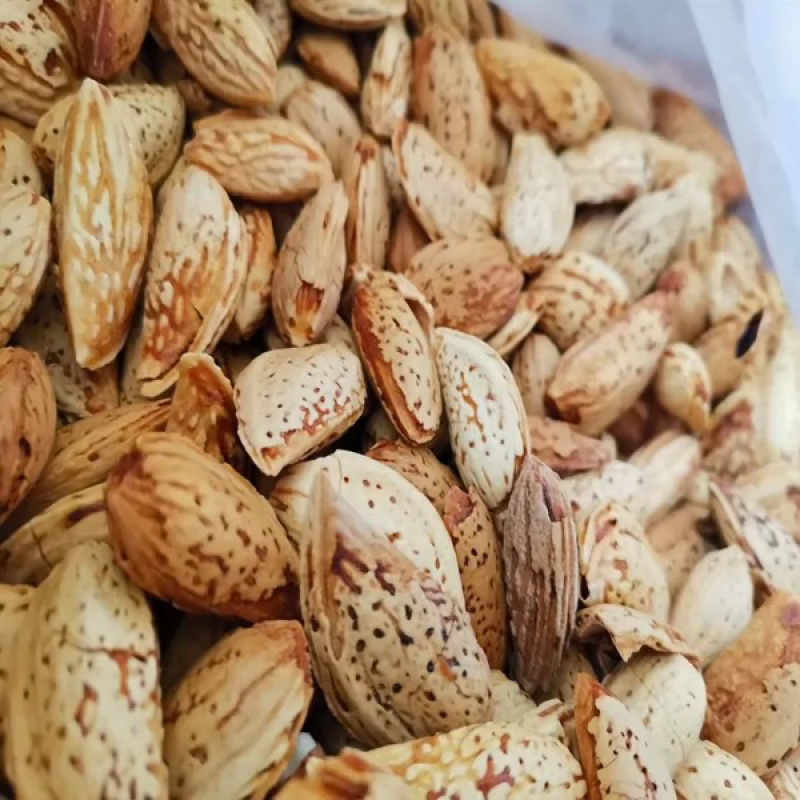 厂家直销电商地摊赶集跑江湖展销薄皮巴旦木NP巴旦木纸皮巴