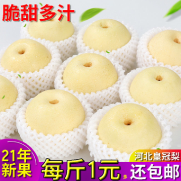 河北皇冠梨专业对接社区团购超市市场批发速联系