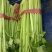 芹菜