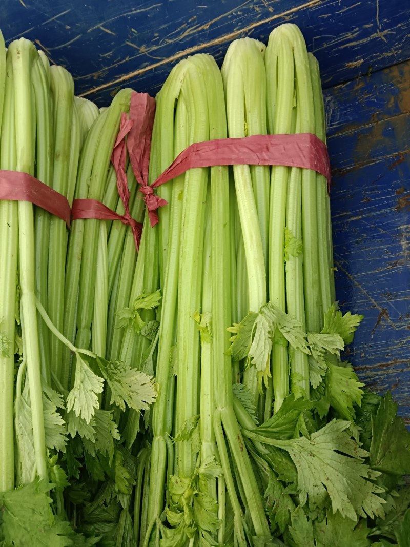 芹菜