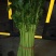 芹菜