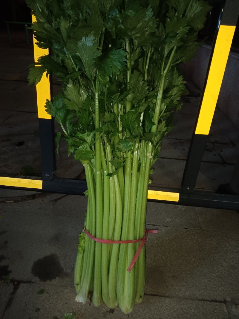 芹菜