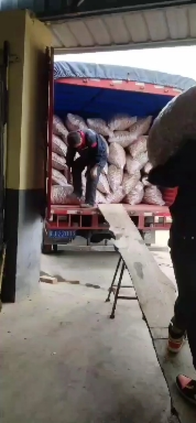 黄龙县金源核桃农民专业合作社薄皮香玲核桃