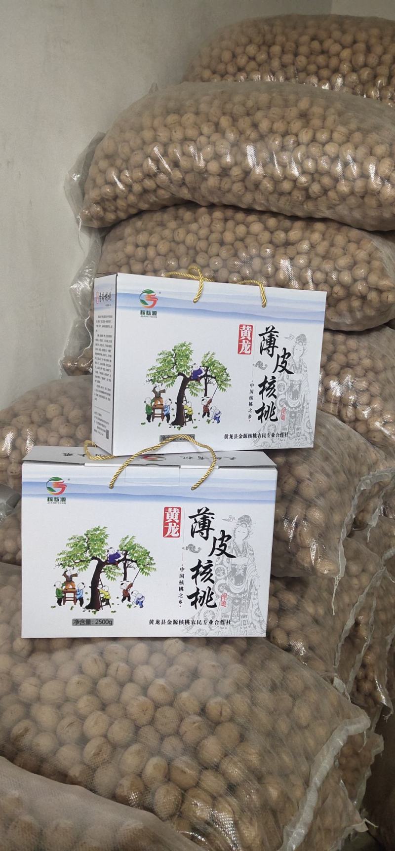 黄龙县金源核桃农民专业合作社薄皮香玲核桃