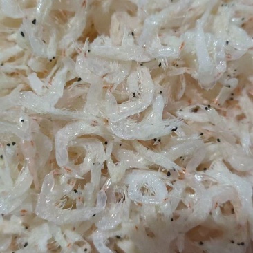 淡干低盐虾皮