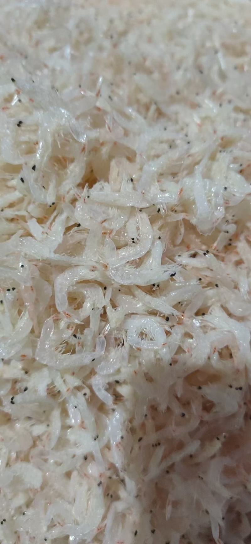 淡干低盐虾皮
