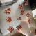 龙虾尾