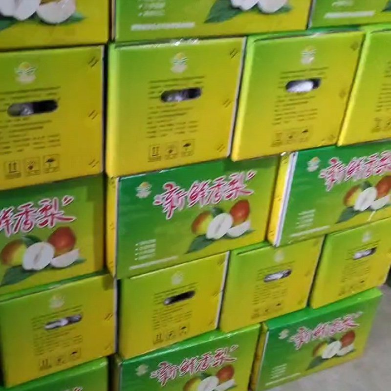 新梨七号香梨，入口即化，口感很好，无渣