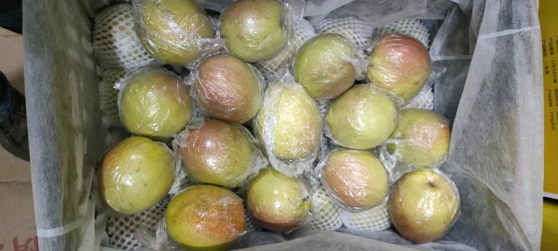 新梨七号香梨，入口即化，口感很好，无渣