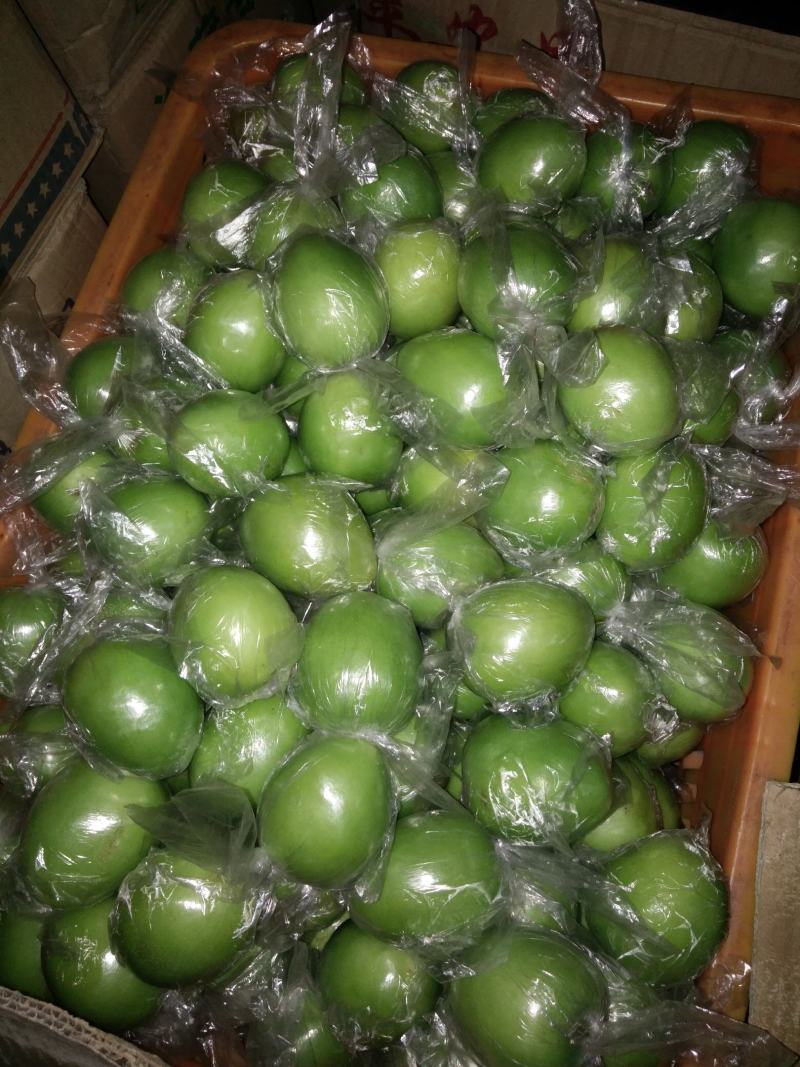青枣蜜丝枣甜脆爽口，广西平南产地直销大量供应