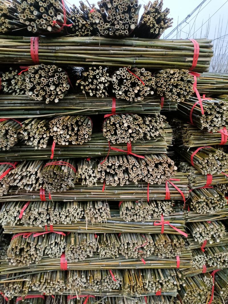 5米竹竿，节短，璧厚，山头一手货源，价格优惠。