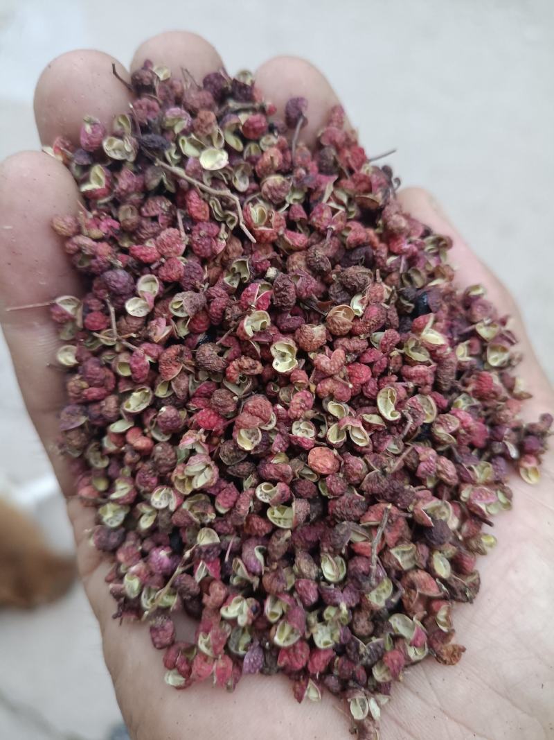 陕西特货大颗粒大红袍花椒干花椒味纯麻香批发市场商超