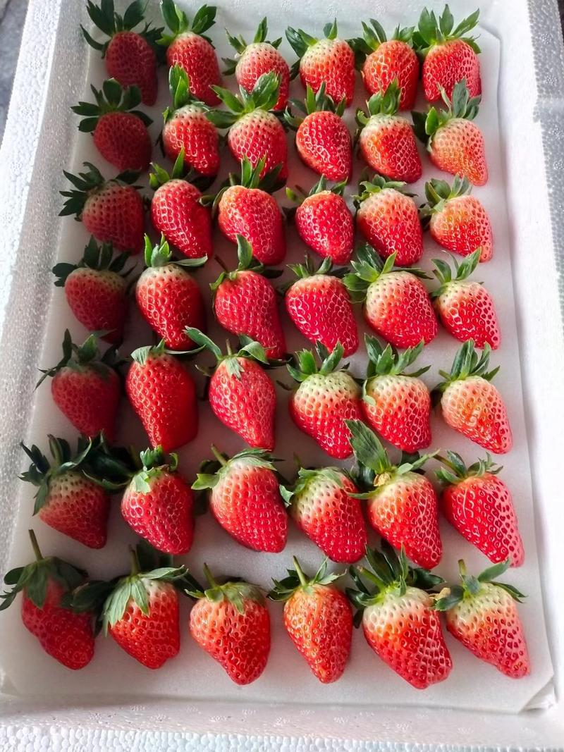 徐州甜宝草莓