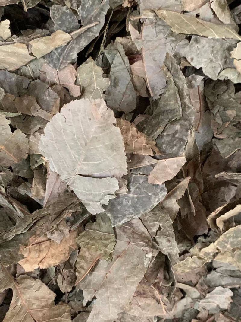 青钱柳叶【包邮】三斤起发货可批量可零售量大从优