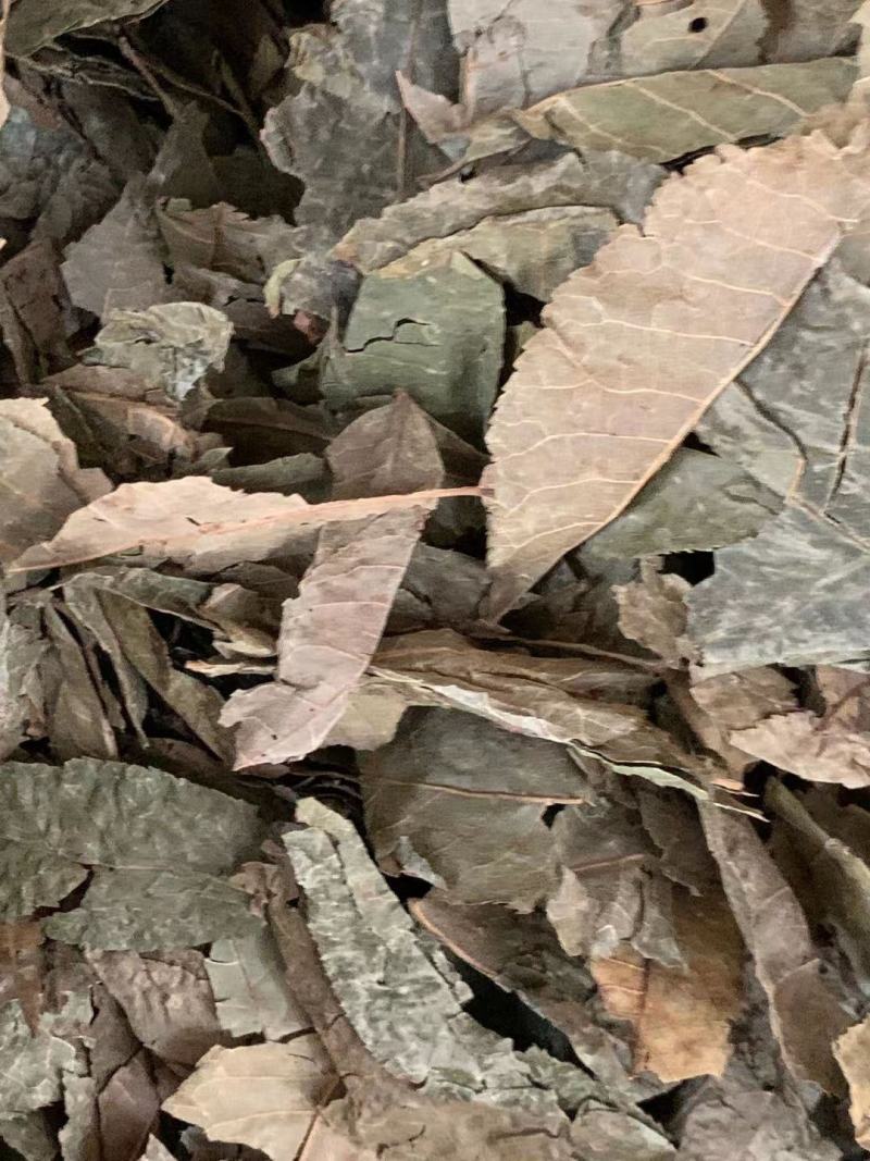 青钱柳叶【包邮】三斤起发货可批量可零售量大从优