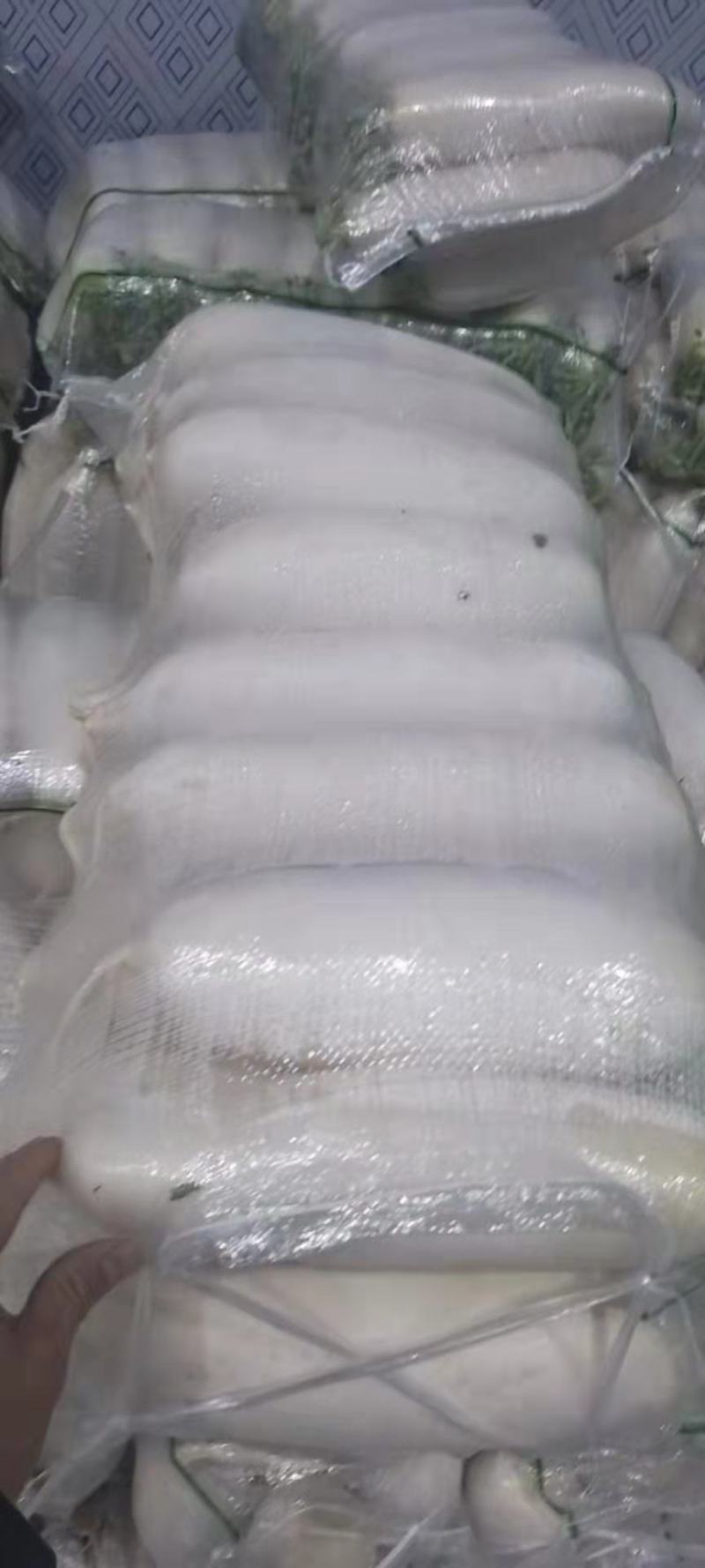 湖北沙洋白萝卜，大量上市货源充足提供装车找货一条龙服务