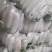 湖北沙洋白萝卜，大量上市货源充足提供装车找货一条龙服务