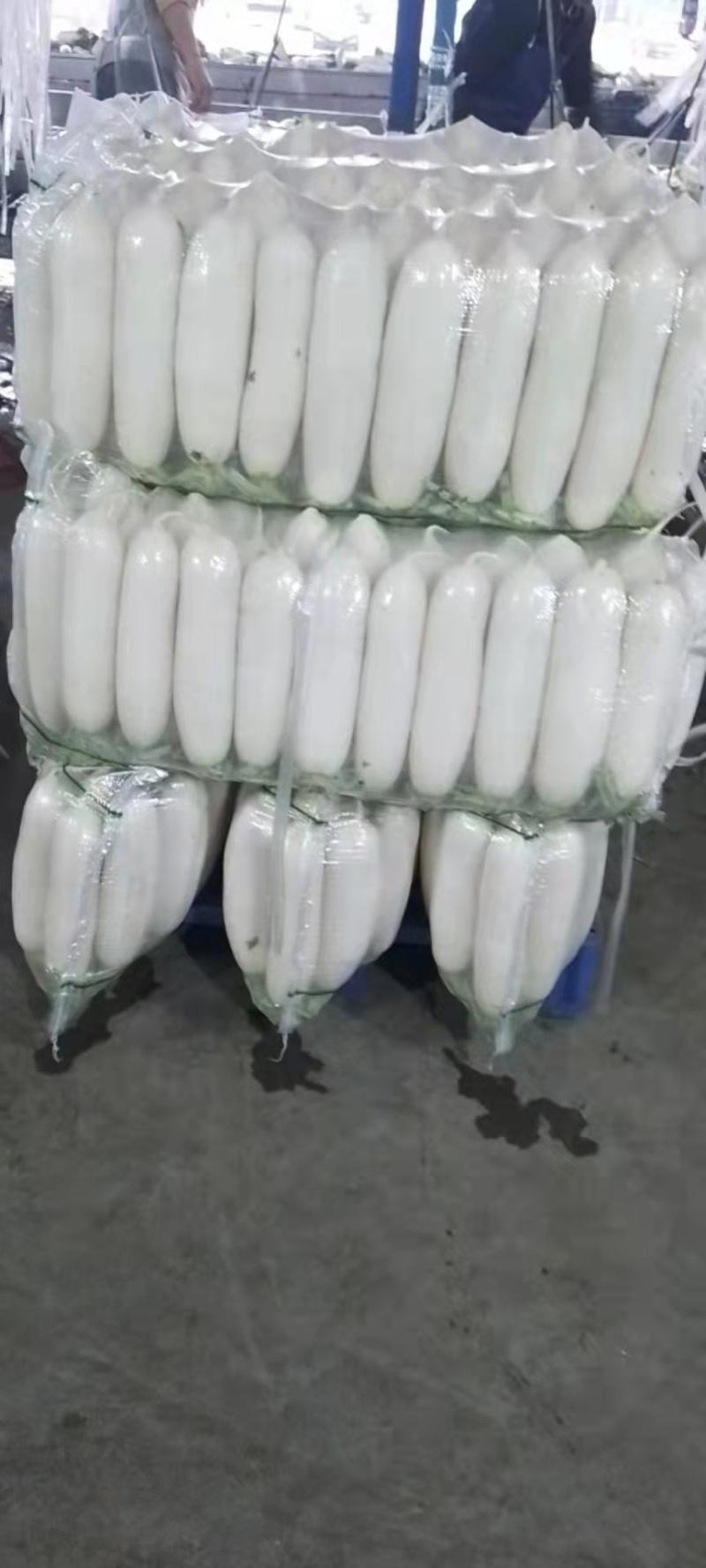 湖北沙洋白萝卜，大量上市货源充足提供装车找货一条龙服务