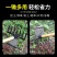 锄头除草耙子农具锄草抓搂草翻地松土神器钉耙农用工具大全筢