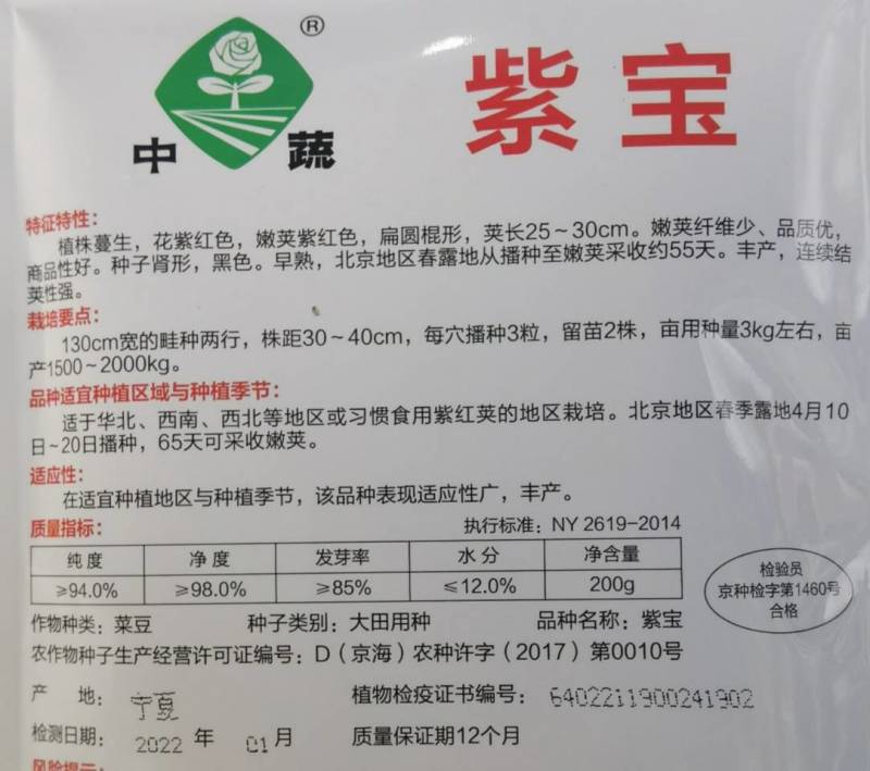 紫宝紫架豆种子四季豆种子中蔬农科院育种高产早熟