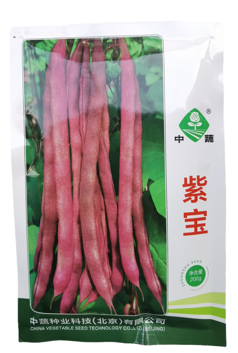 紫宝紫架豆种子四季豆种子中蔬农科院育种高产早熟