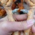 320天灵山土阉6斤左右健康无水泡广西玉林装