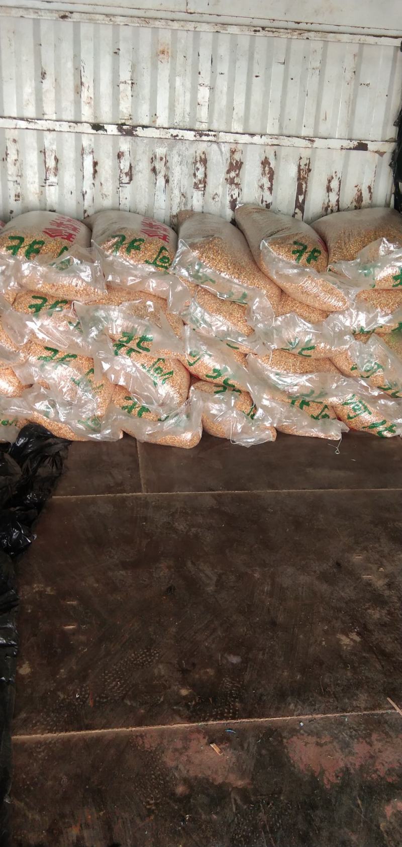 贵州优质干玉米黄玉米（水分14%~15%）