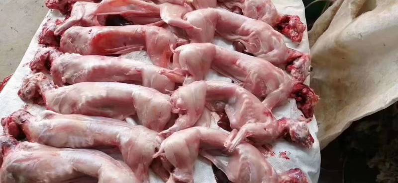 兔肉兔分割产品新鲜现杀厂家直销诚信经营