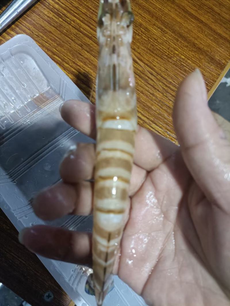 精品活冻斑节虾350克/盒品质保证量大从优