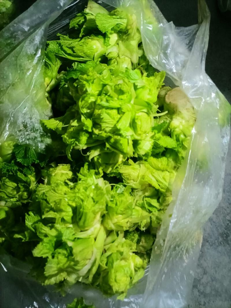 卖儿菜